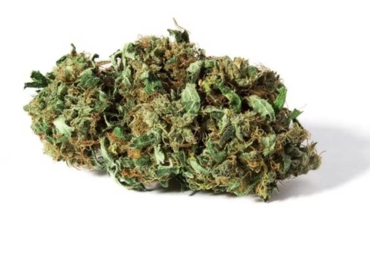 Special Sauce CBD Flower Strain – Benefits and Side Effects