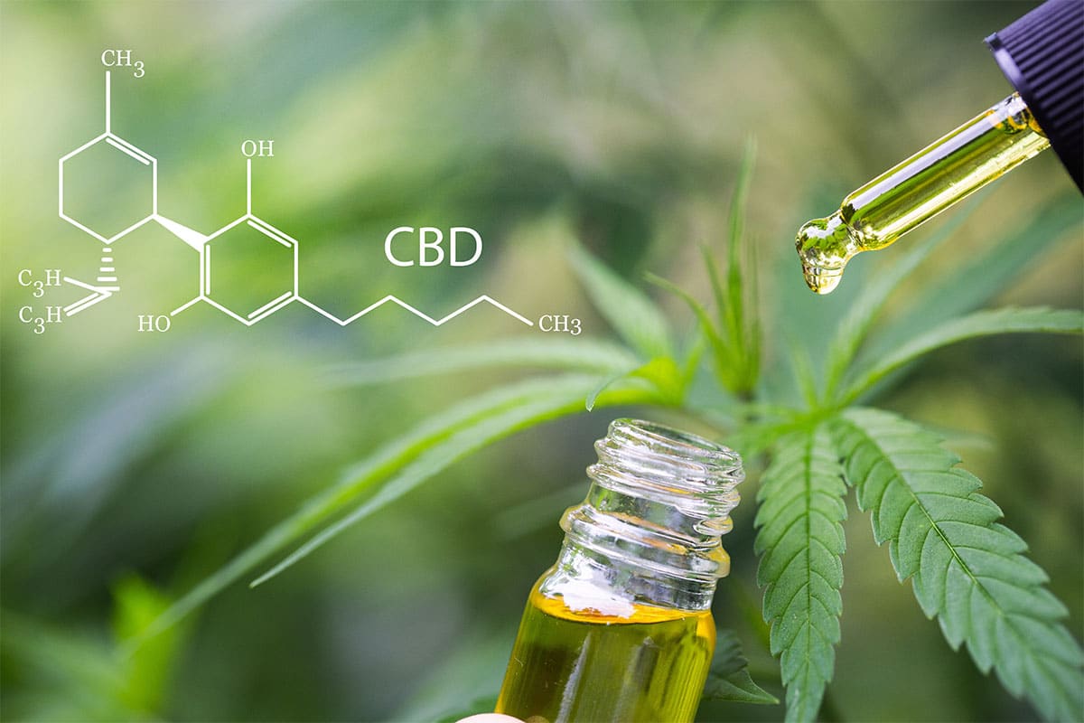 Top 5 Facts About CBD